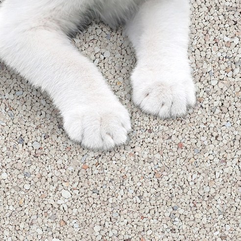 탐사 벤토나이트 모래, 뽀송한 향기로 냥이 화장실 고민 해결!