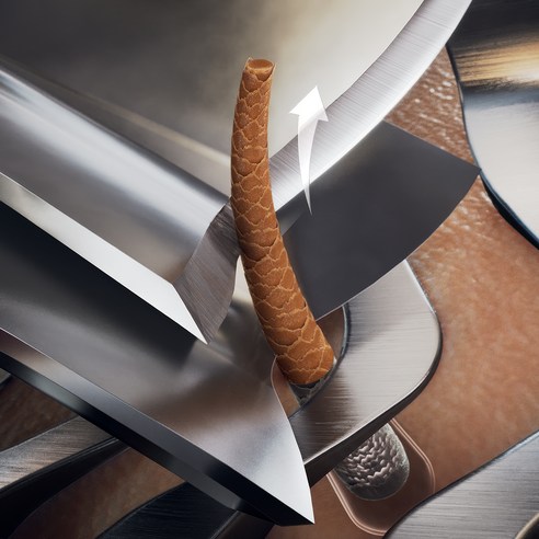 혁신의 정수를 담아, 궁극의 면도 경험을 선사하다