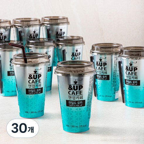 일동후디스 앤업카페 마일드 모카, 30개, 300ml