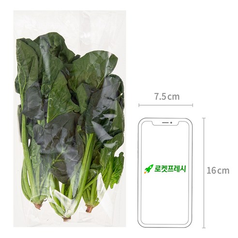 국내산 시금치, 100g, 1개