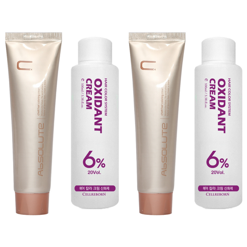 에비뉴쉬에뜨 앱솔루트 컬러링 크림 염색제 120g + 산화제 100ml, 자연스러운진한황갈색, 2개