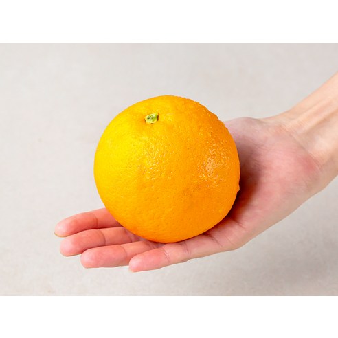 겉바속촉 매력에 퐁당! 곰곰 카라카라 오렌지로 상큼한 하루 충전