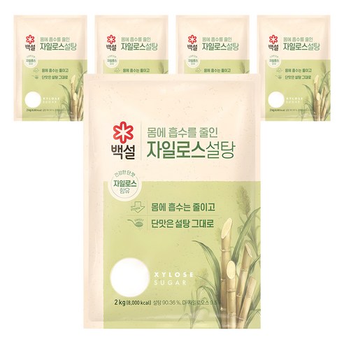 백설 자일로스 설탕, 2kg, 5개