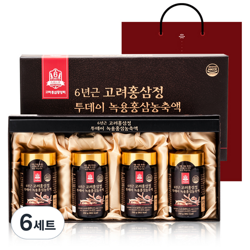 고려홍삼중앙회 6년근 고려홍삼정 투데이 녹용홍삼농축액 + 쇼핑백, 1kg, 6세트