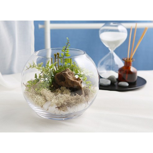 좁은 공간에 작은 행복을 더하는 마법, 삼호유리 다용도 유리 볼