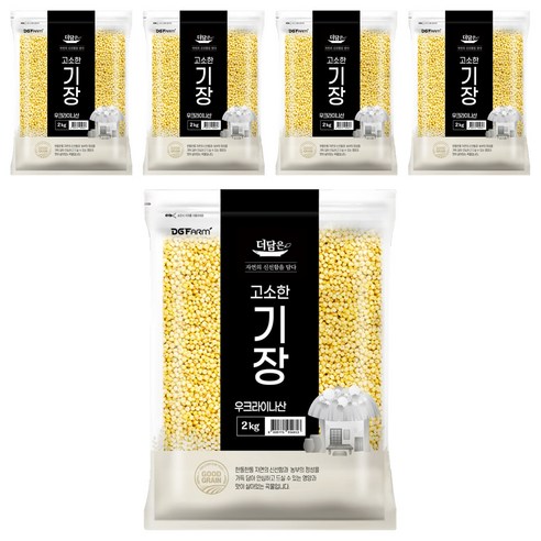 더담은 고소한 기장, 2kg, 5개
