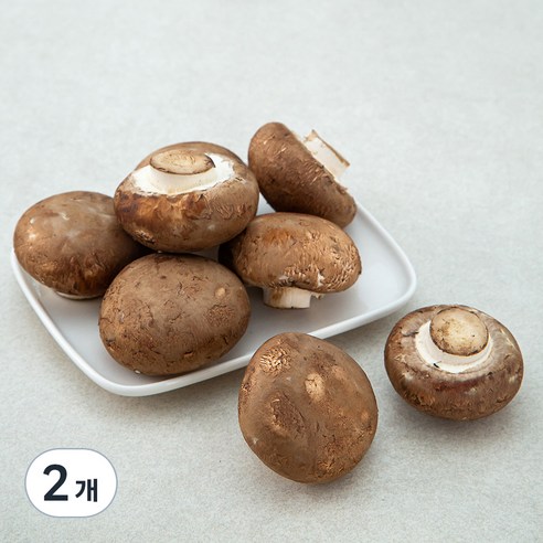 친환경 인증 국내산 양송이버섯, 150g, 2개, 150g × 2개이라는 상품의 현재 가격은 7,740입니다.