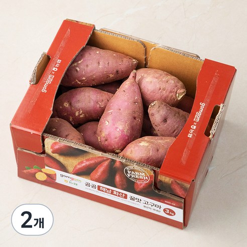곰곰 농협 해남 화산 꿀맛 고구마, 3kg, 2개