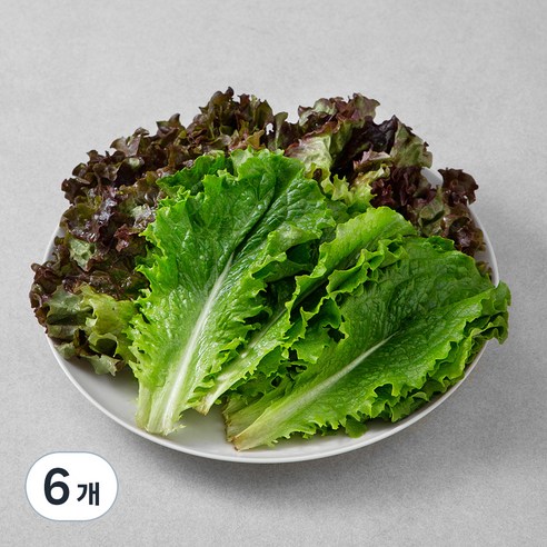 국내산 GAP 반반상추, 200g, 6개