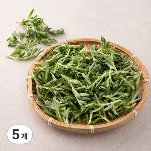 국내산 돌나물, 150g, 5개