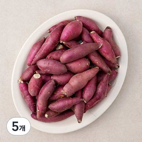 영암 한입 꿀맛 밤고구마, 1.5kg, 5개