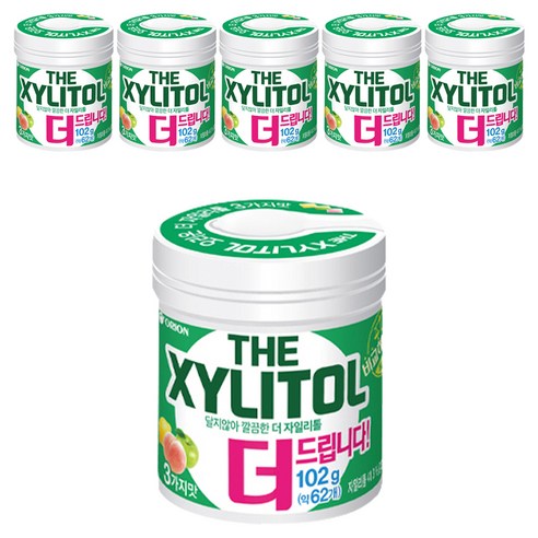 오리온 더자일리톨 츄잉껌, 102g, 6개