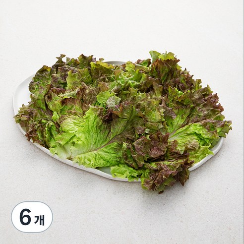 국내산 친환경 적상추, 150g, 6개