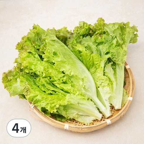 국내산 포기상추, 300g, 4개