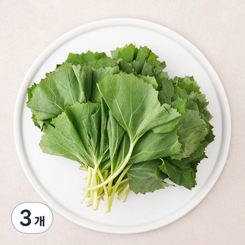 곰곰 국내산 머위잎, 250g, 3개