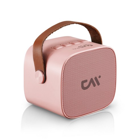 완벽한 음질과 편리성의 조화