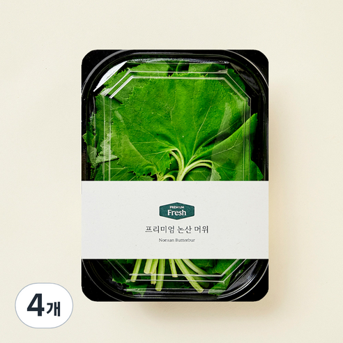 프리미엄 논산 머위, 200g, 4개