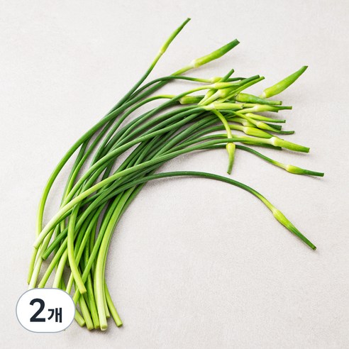 남해 마늘종, 200g, 2개