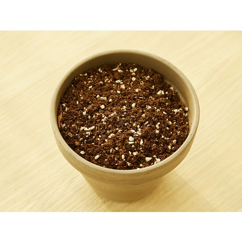 탐사 블루베리 전용 상토로 베란다 텃밭에서 달콤한 블루베리 수확의 기쁨을 누려보세요!