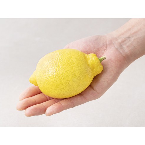 햇살처럼 상큼한 레몬으로 당신의 주방에 새로운 활력을 더하세요!