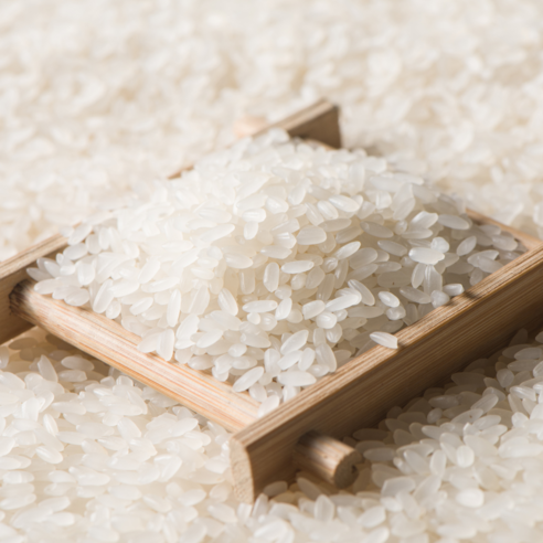 갓 수확한 2024년 햅쌀, 명성쌀 새청무 백미 특등급을 지금 바로 만나보세요!