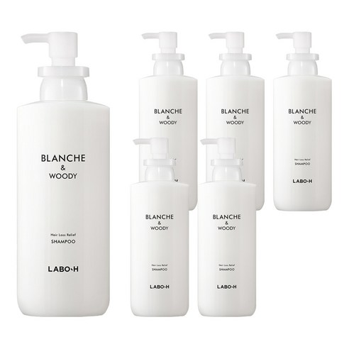 라보에이치 탈모증상완화 두피강화 샴푸 블랑쉬앤우디, 400ml, 6개