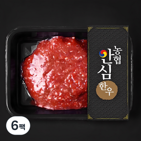 농협안심한우 1등급 다짐육 (냉장), 300g, 6팩