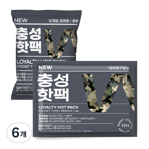충성 NEW 핫팩 포켓용 중형 100g x 10p, 6개