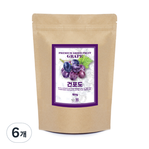 견과공장 건포도, 500g, 6개