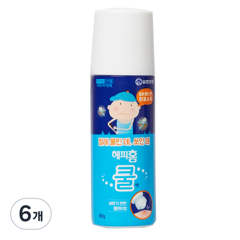 해피홈 쿨액 소독제, 6개