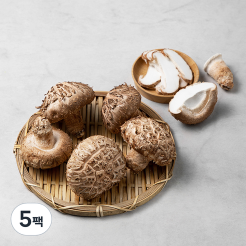 GAP 인증 청양 표고버섯 화고, 200g, 5팩