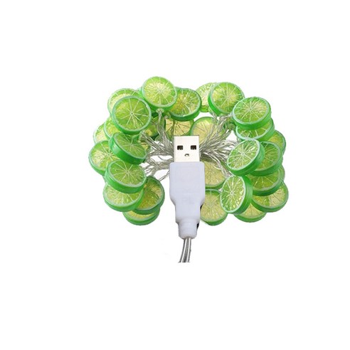 더깔끔 LED 라임 피스 USB 전등 낭만 정원 6m 40구, USB타입