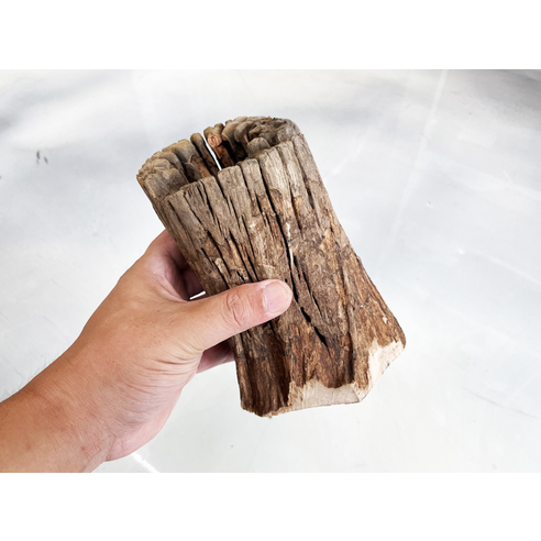 자연을 담은 모비딕 그루터기 유목으로 어항에 생기를 불어넣으세요!