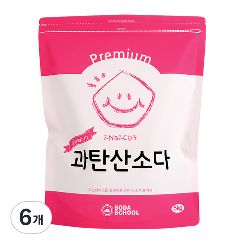 소다스쿨 프리미엄 과탄산소다, 6개, 5kg