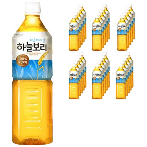 웅진 하늘보리, 1L, 48개