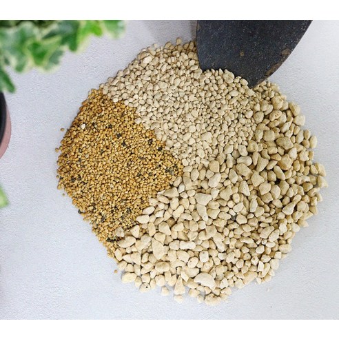 자연의 숨결로 식물에게 활력을!