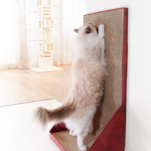 가리가리 월플러스 와이드 고양이 스크래처, 혼합색상, 1개