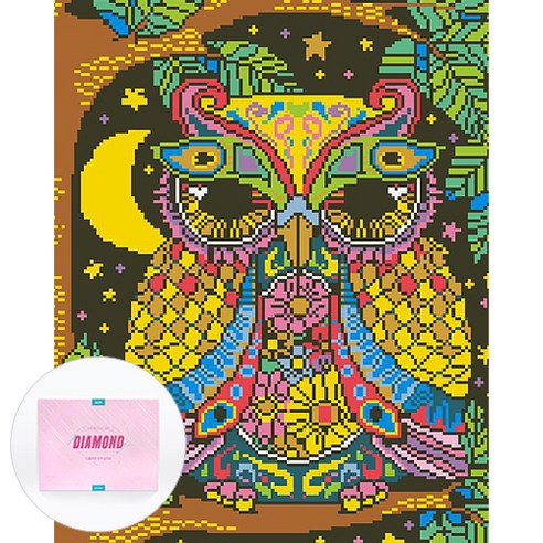 디클레어 액자 캔버스형 보석십자수 DIY 키트 40 x 50 cm, 1세트, 신비한 부엉이