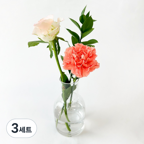 포켓플라워 생화 테이블 플라워 세트, 피치, 3세트