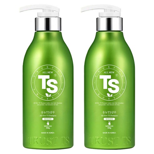 TS 올뉴 TS 샴푸, 500g, 2개