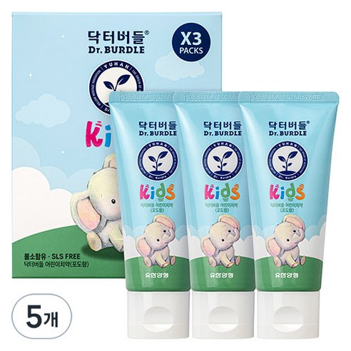 닥터버들 어린이 치약 포도향, 180g, 5개