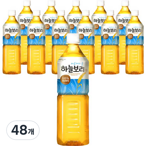 웅진 하늘보리, 1L, 48개