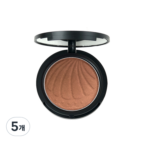 애리조 쉬머 파우더 팩트10g, No2 브론즈, 5개