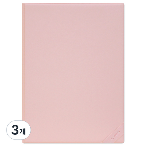 리코즈 도큐먼트 파일홀더 A5, 피치, 3개