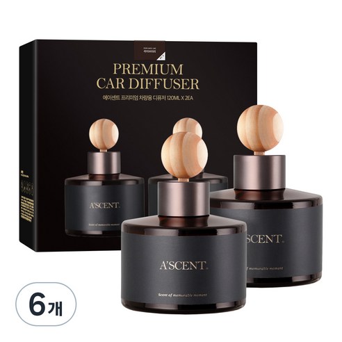 에이센트 차량용 디퓨저 세트, 라이브러리, 120ml, 6개