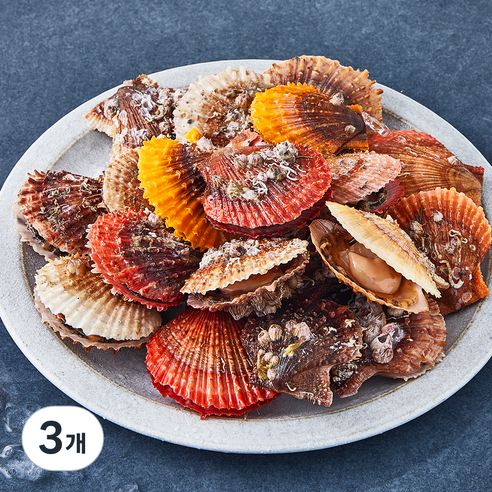 어부심 국내산 제철 비단 가리비 (냉장), 1kg, 3개
