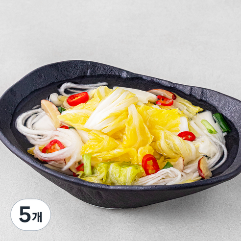 선도농협 선장 아산맑은 백김치 썰은김치, 900g, 5개