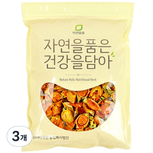 자연닮음 치자 열매, 600g, 3개