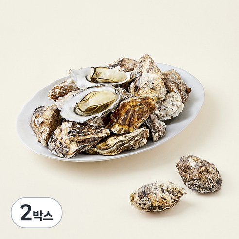 아라보감 망에서키워 더 신선한 남해안 익혀먹는 석화, 2kg, 2박스