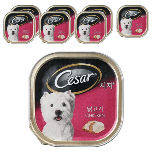 시저 반려견 습식사료, 닭, 100g, 8개